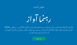 Introducing Rehnuma Awaz: Empowering Accessibility for the Visually Impaired